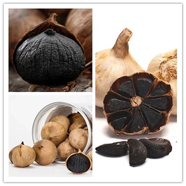 Black Garlic ( কালো রসুন )